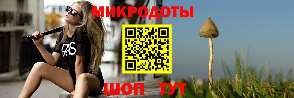 Псилоцибиновые грибы прущие грибы  Галлюциногенные грибы Psilocybine cubensis  Вход с VPN  Белая Калитва 