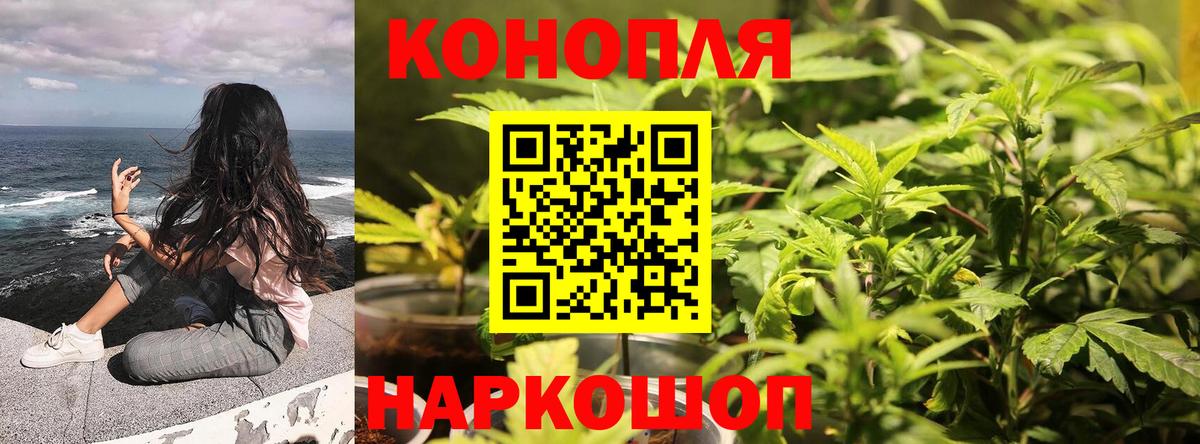 Марихуана планчик Белая Калитва
